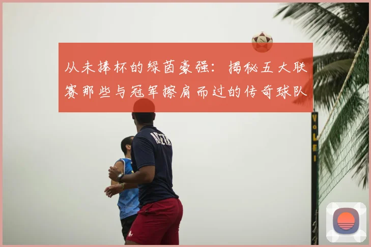 从未捧杯的绿茵豪强：揭秘五大联赛那些与冠军擦肩而过的传奇球队