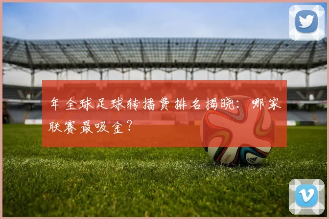 年全球足球转播费排名揭晓：哪家联赛最吸金？